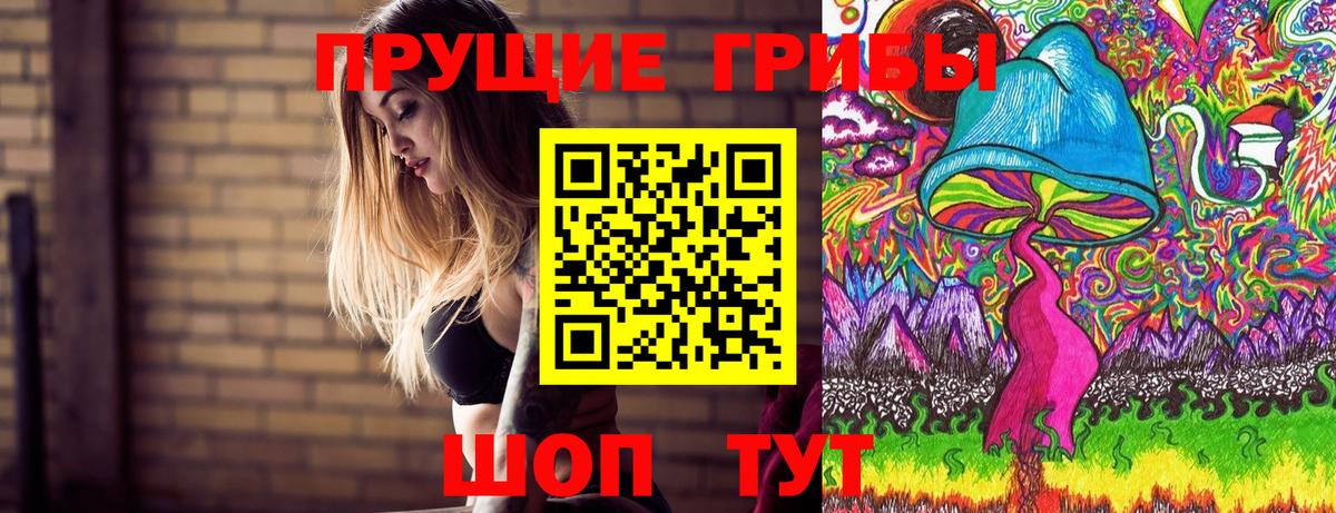 Галлюциногенные грибы Psilocybine cubensis Лыткарино