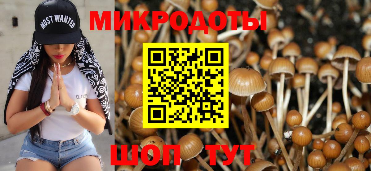 Лыткарино  Галлюциногенные грибы Psilocybe  Вход с VPN 